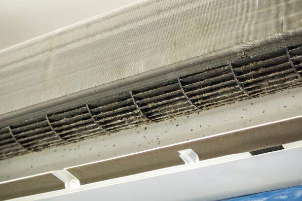 Best HVAC System Cleaning  in Hemlock, MI